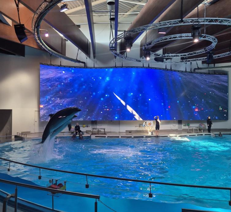 Delfinai, jūra ir mes – rudens išvyka